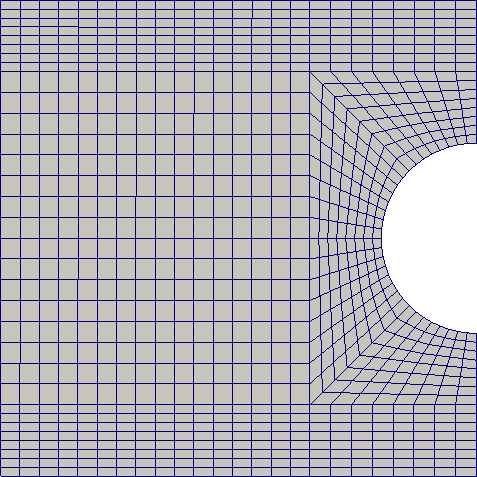 Initial grid